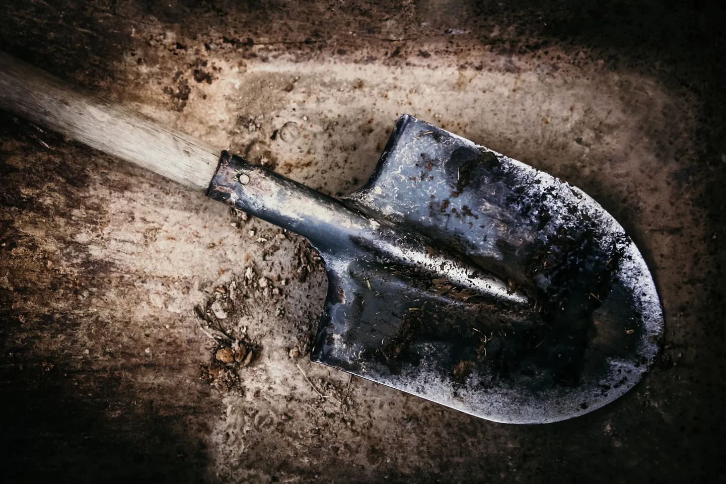 Ilustratīvs foto.