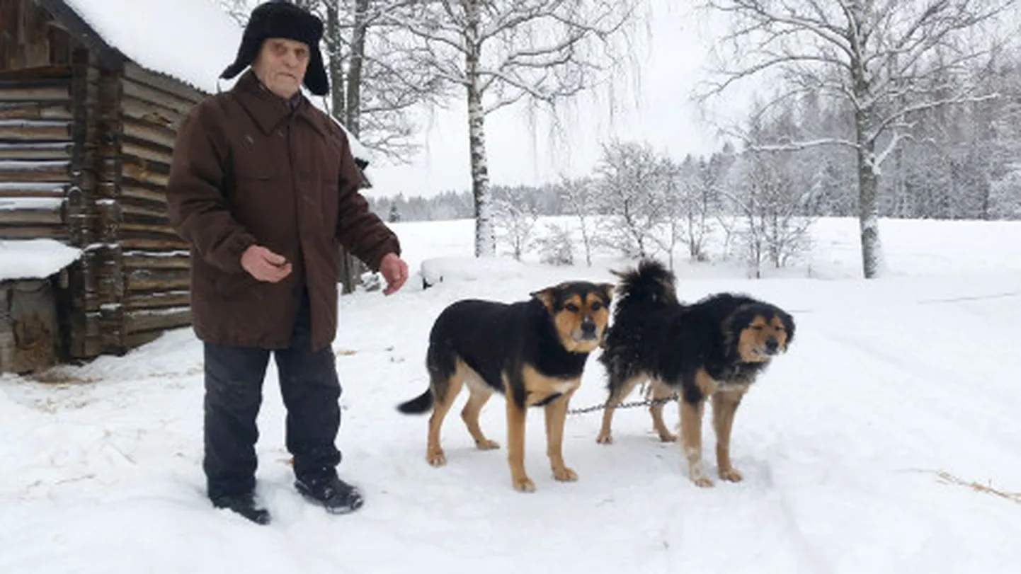 Kaks nädalat tagasi taples Elmar Roosvald oma koduõuel tükk aega hundiga, et oma kalleid koeri kiskja käest päästa.