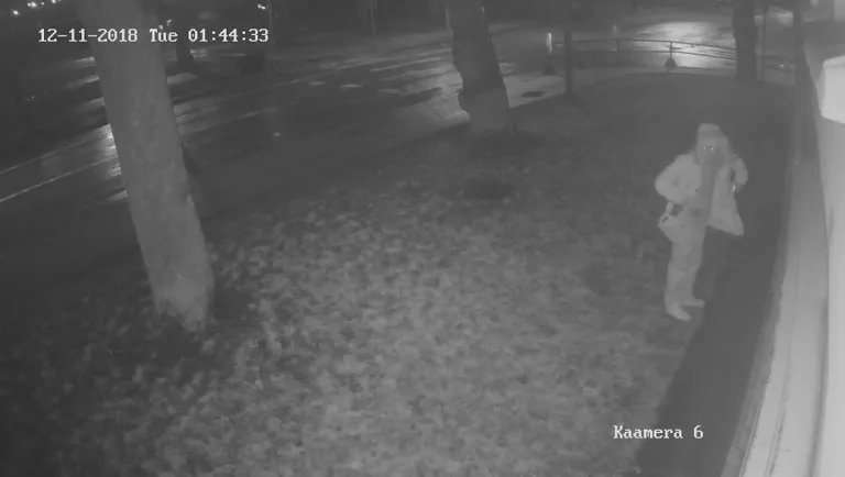 Художник попал в объектив камеры видеонаблюдения.
