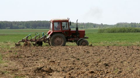 Lazdiņš: Latvijas lauksaimniekiem ES tiešmaksājumo
