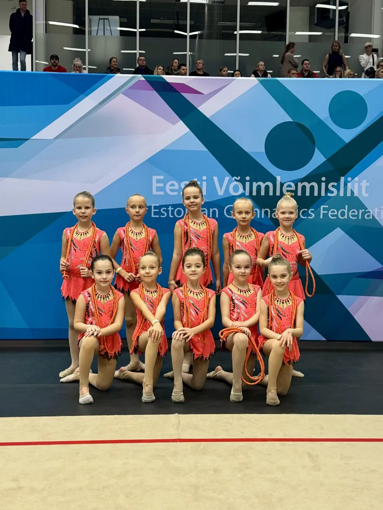 Mudilasrühm Fööniks jõudis lõppvõistlusele.