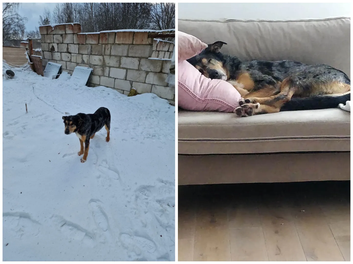Yuki enne ja pärast