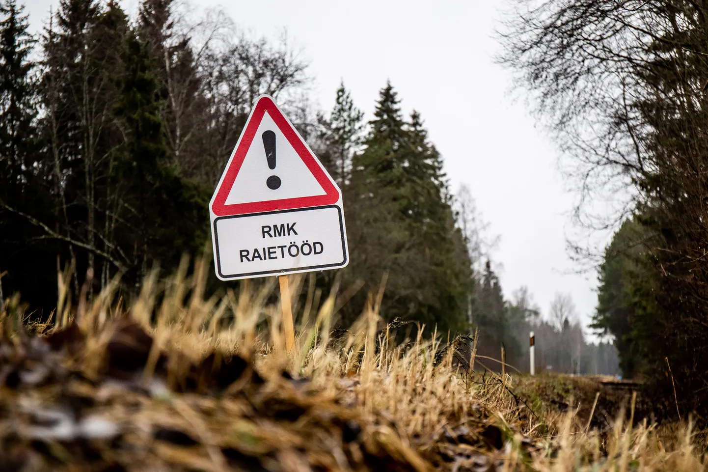 RMK raietööd. Foto on illustratiivne.