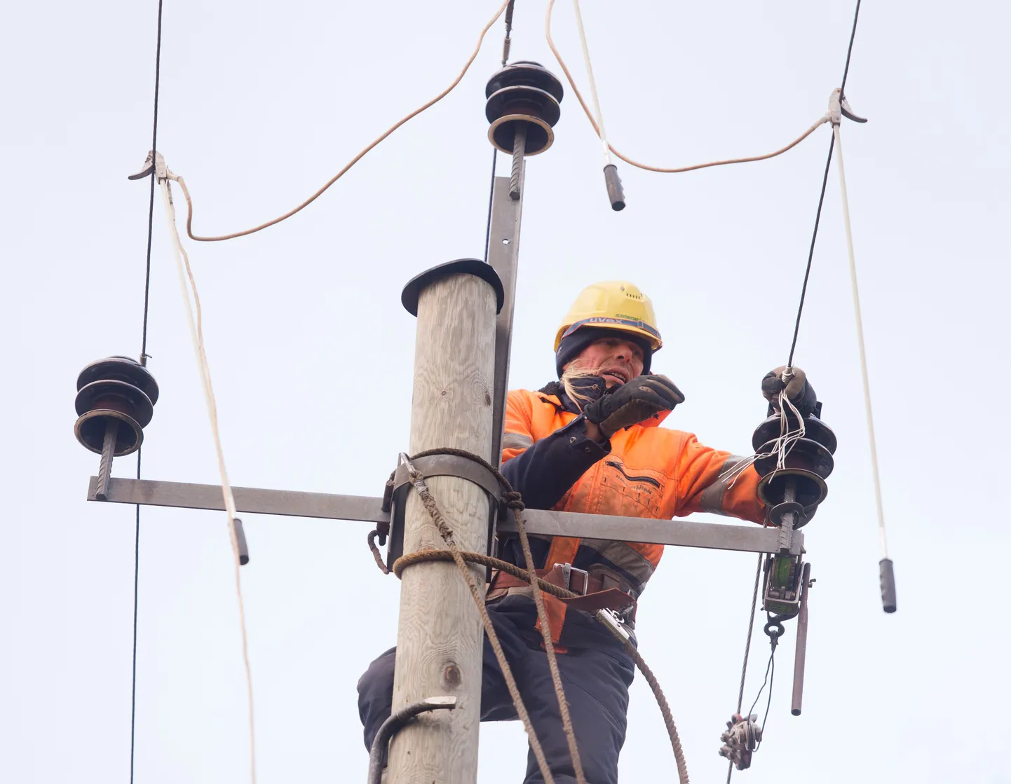 Elektriliini remont Kanakülas. Fotol Elektritsentrumi elektrimontöör Joel Närep.