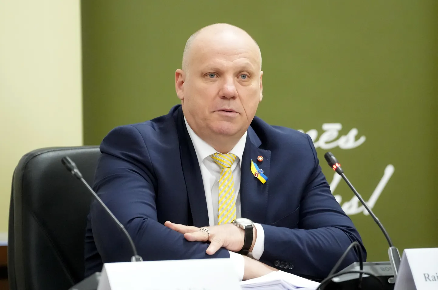 Raimonds Bergmanis
