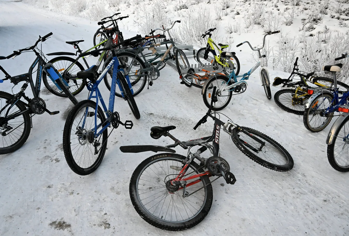 Jalgrattad Soome Salla piiripunktis.