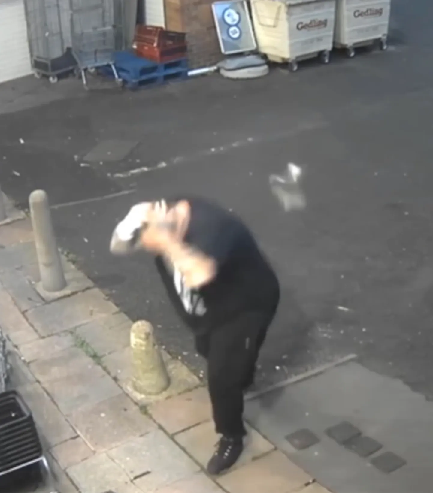 В Сеть попало видео, где голубь врезается в человека
