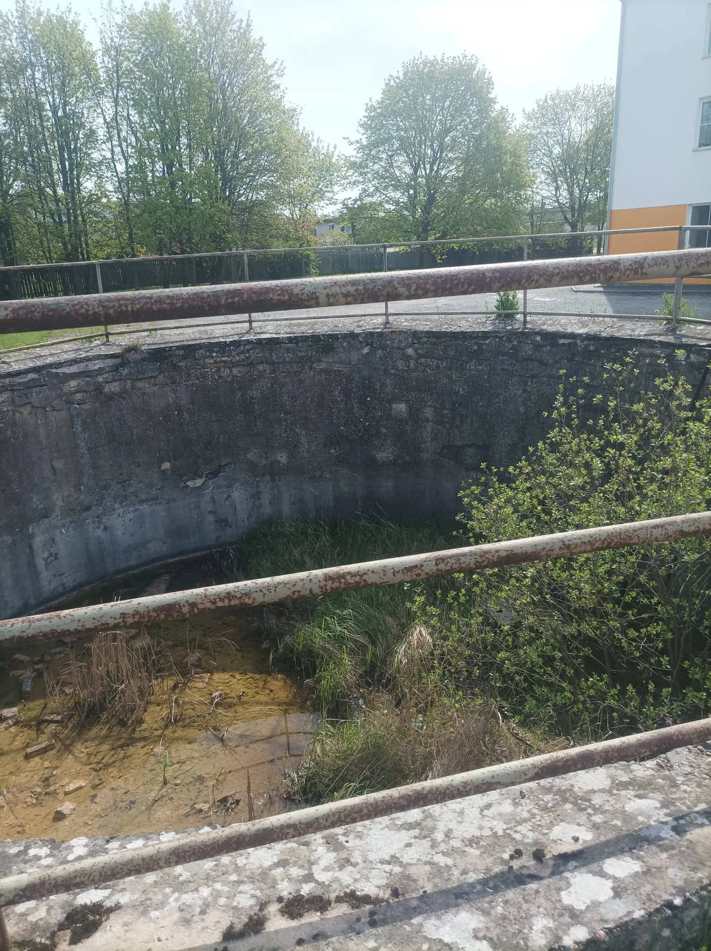 Mitmel aastal on sellesse auku pesa teinud metspart, kelle pojad iseseisvalt kaevust välja ei saa ja kas hukkuvad või siis tõstetakse nad päästeameti või vabatahtlike poolt välja ning teel veekoguni hukkub poegi veelgi.