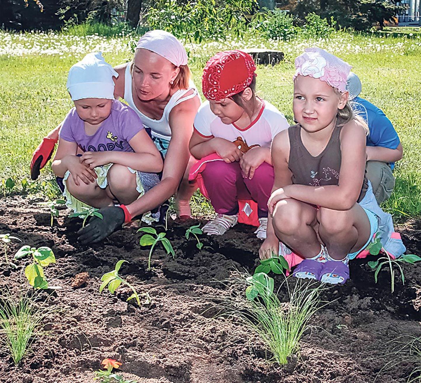 Mullu mais tegid lasteaialapsed esimest korda Pärnu linna oma lillepeenra.
