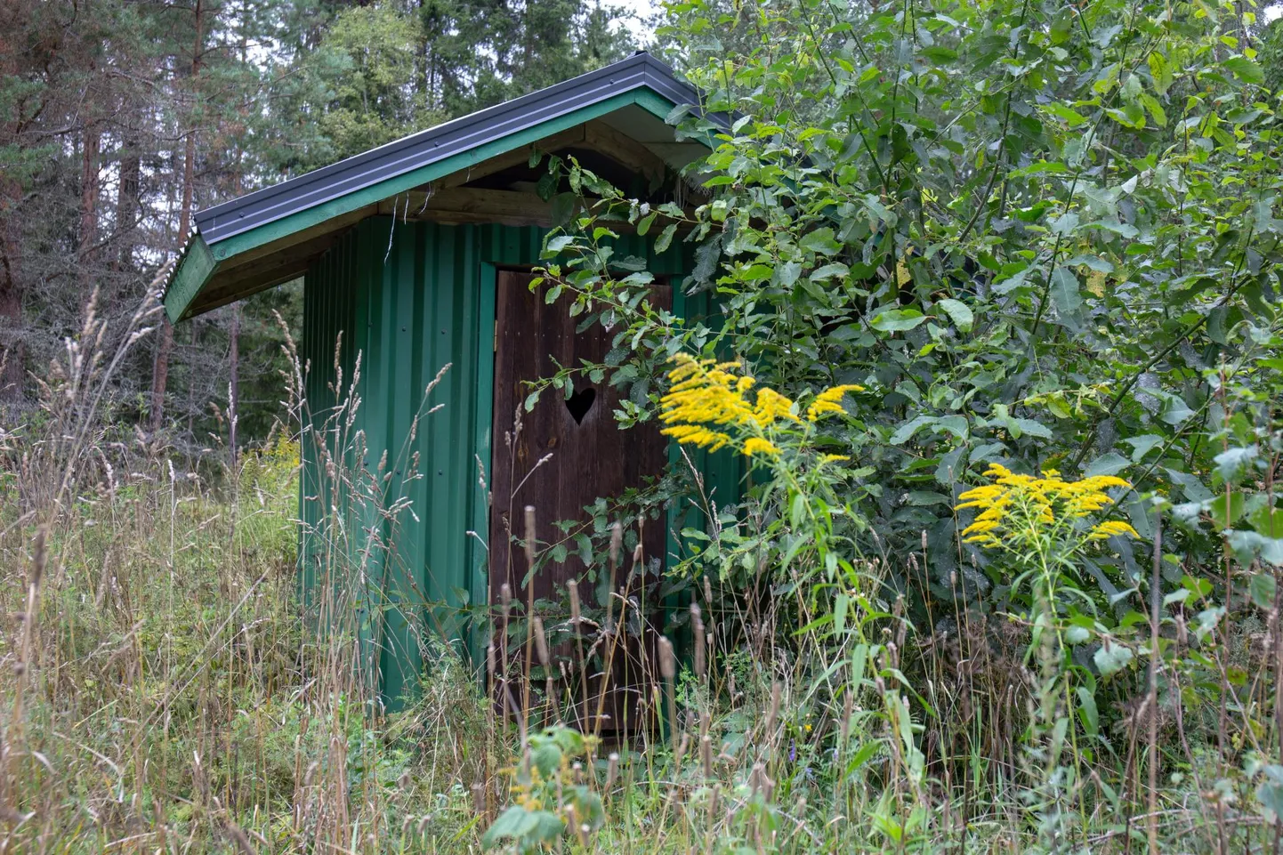 Kuivkäimlad on praegu pigem suvekodudes ja aianurgas, kuid tänapäevane tehnoloogia liigub üha rohkem selles suunas, et ka majas sees olev tualett oleks vee- ja haisuvaba.