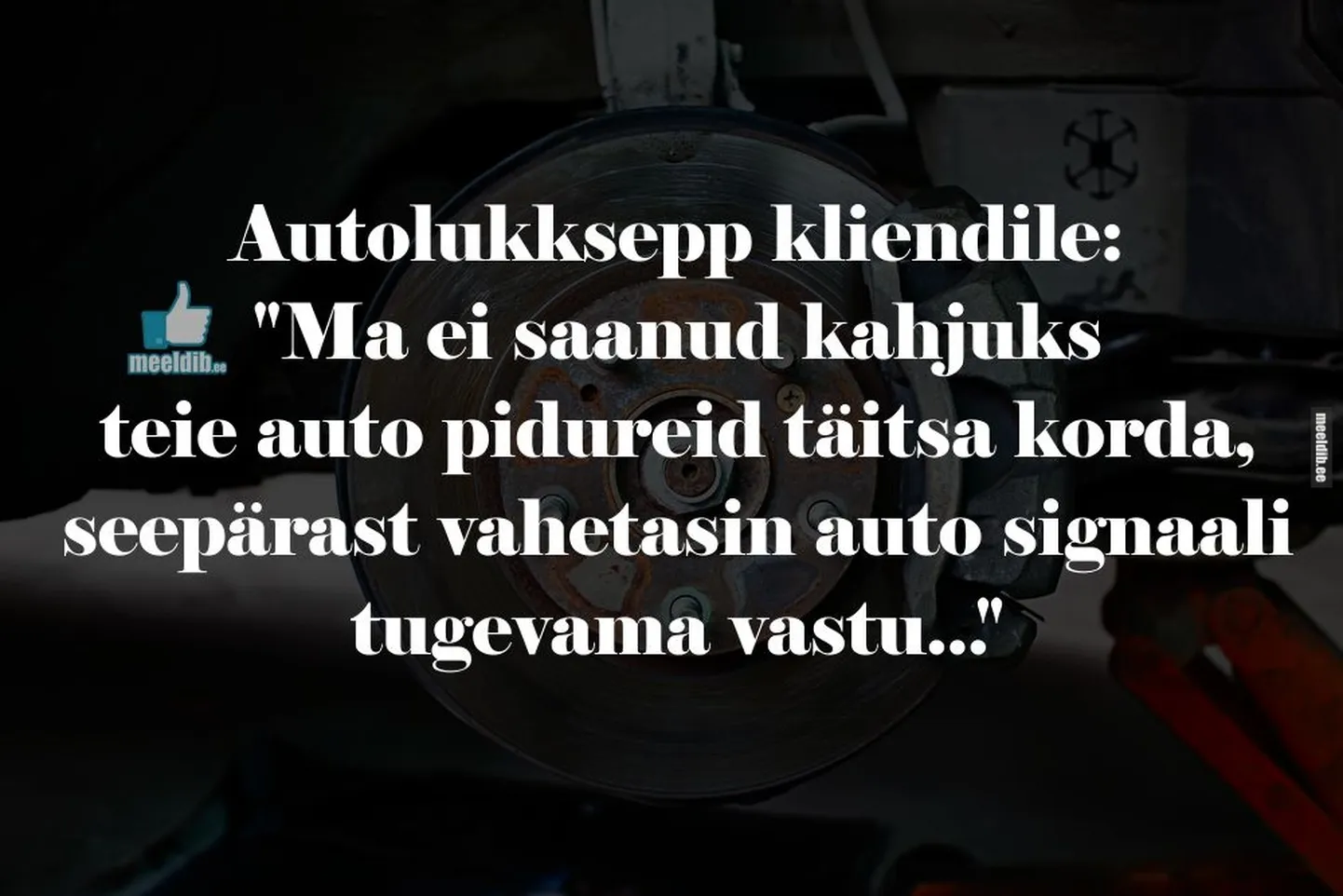 Artikli foto