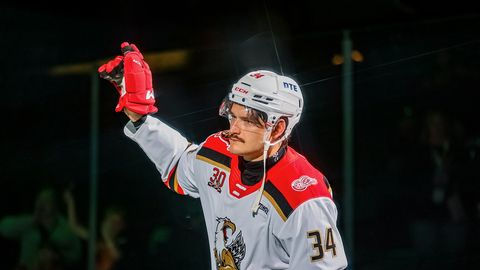 Latvijski hokejist Tralmaks z "hat-trickom" blestel v AHL