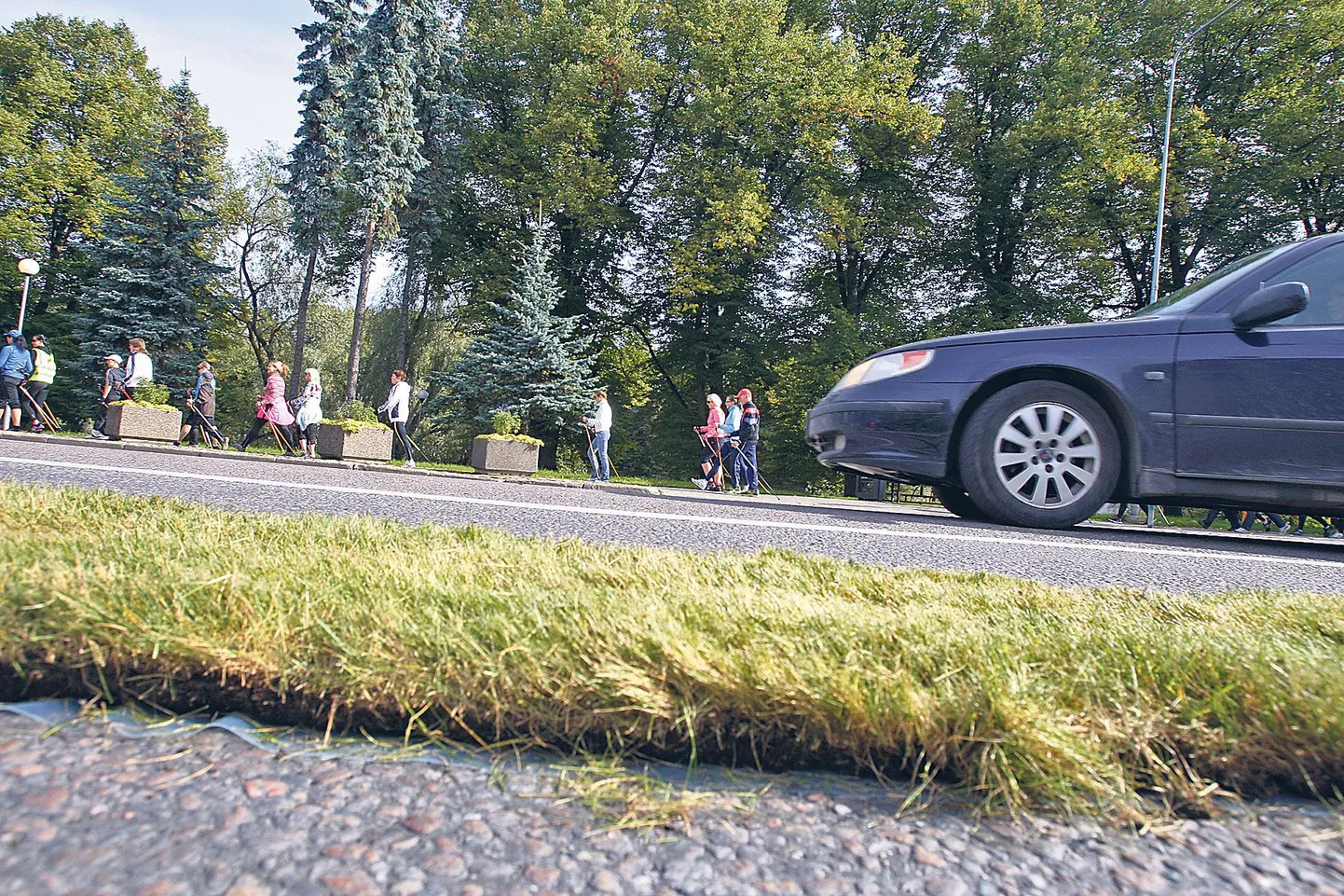 Autovaba päev.
