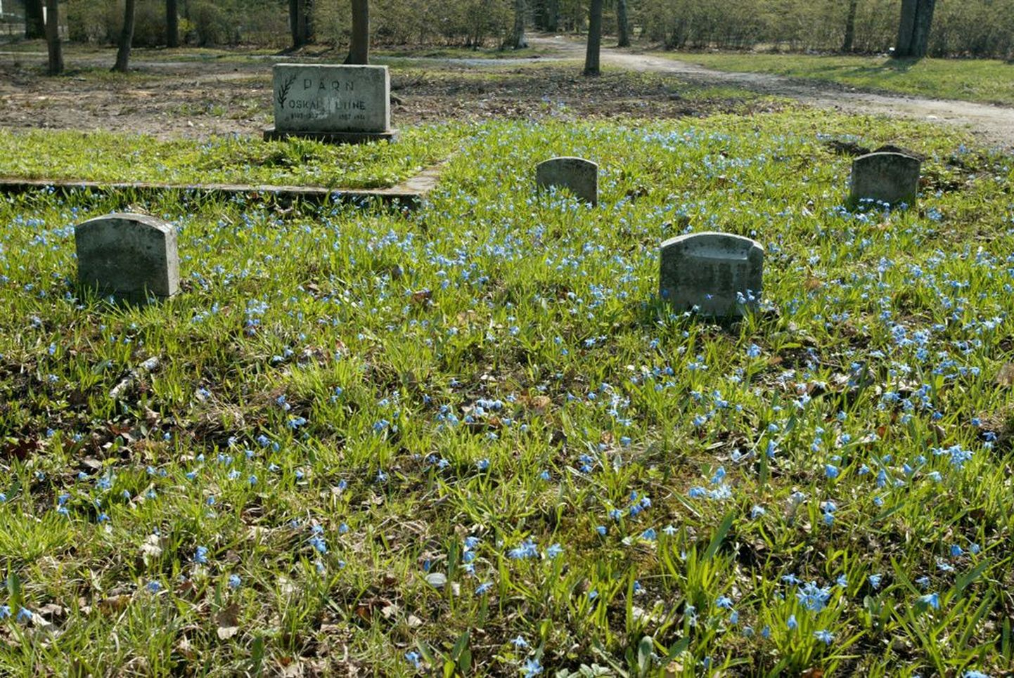 Заброшенное кладбище
