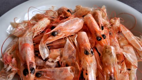 3 varianti vērtīgai garneļu čaulu izmantošanai