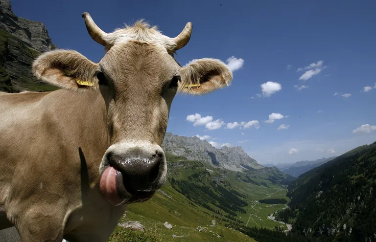 ARND WIEGMANN/REUTERS/Scanpix