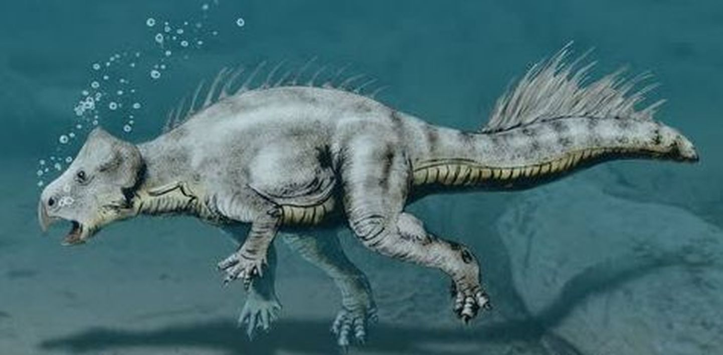 Koreaceratops hwaseongensis