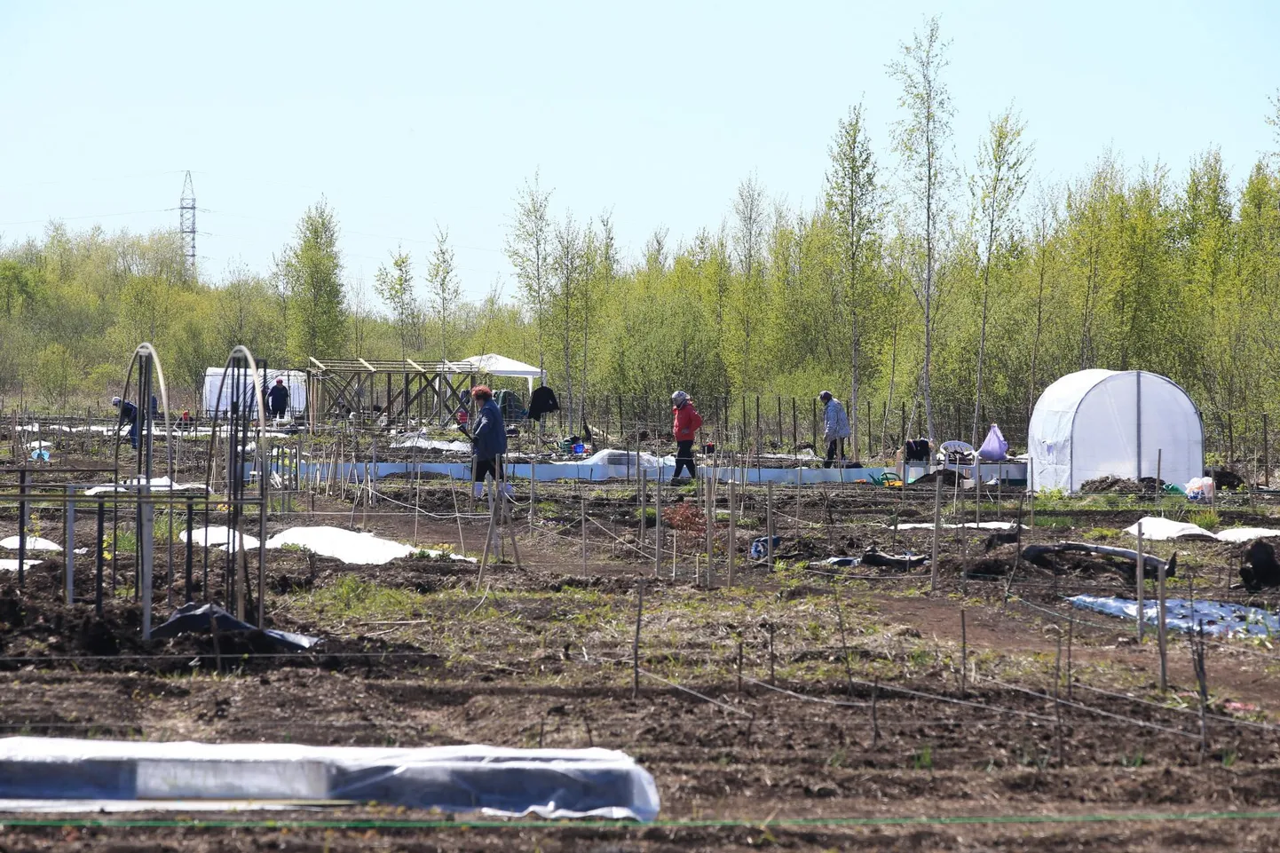 Jäär tervitab kevadet aiatöödega.