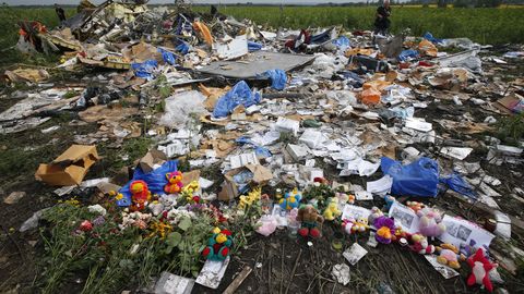 Родственники жертв катастрофы MH17 увидят последние часы их жизни