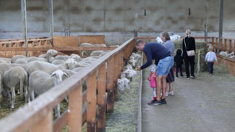 Avatud talude päevad ootavad osalejaid juulis