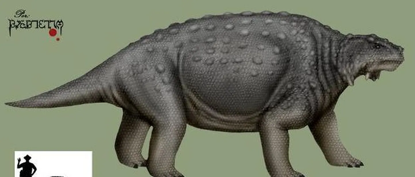 Bunostegos akokanensis