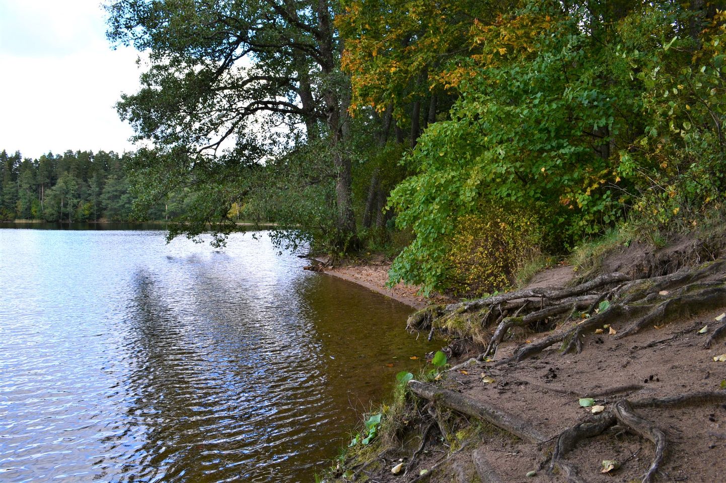 Главный принцип Департамента окружающей среды "Чем меньше людей, тем лучше для природы" действует также в районе озера Ульясте.