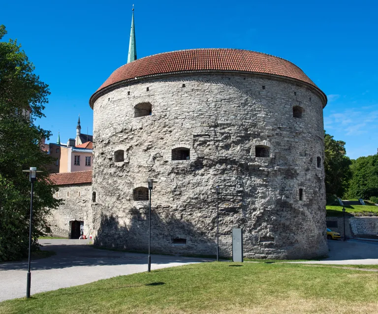 Толстая Маргарита.