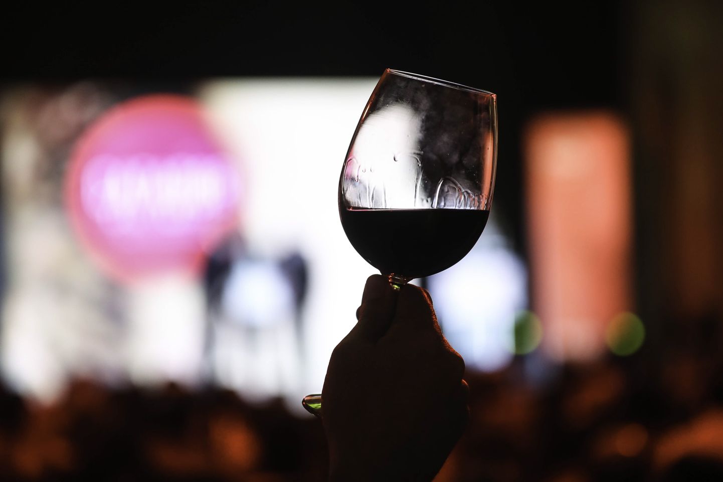 One of the attendees of the Catad'Or contest awards holds a glass of wine during the event held in Santiago, Chile, 09 July 2018. Memorias, from the Chilean vineyard El Principal, was awarded today as the best wine of the year in the Catad'Or contest, one of the most important wine competitions in Chile and Latin America.  EPA/Alberto Vald?©s
