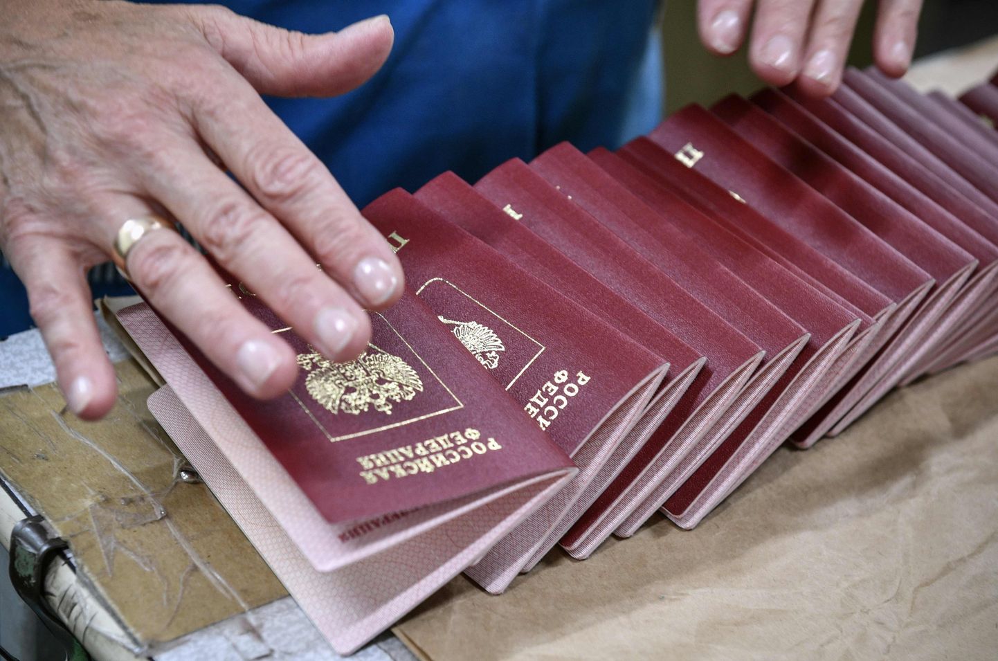 Российские паспорта. Иллюстративное фото.