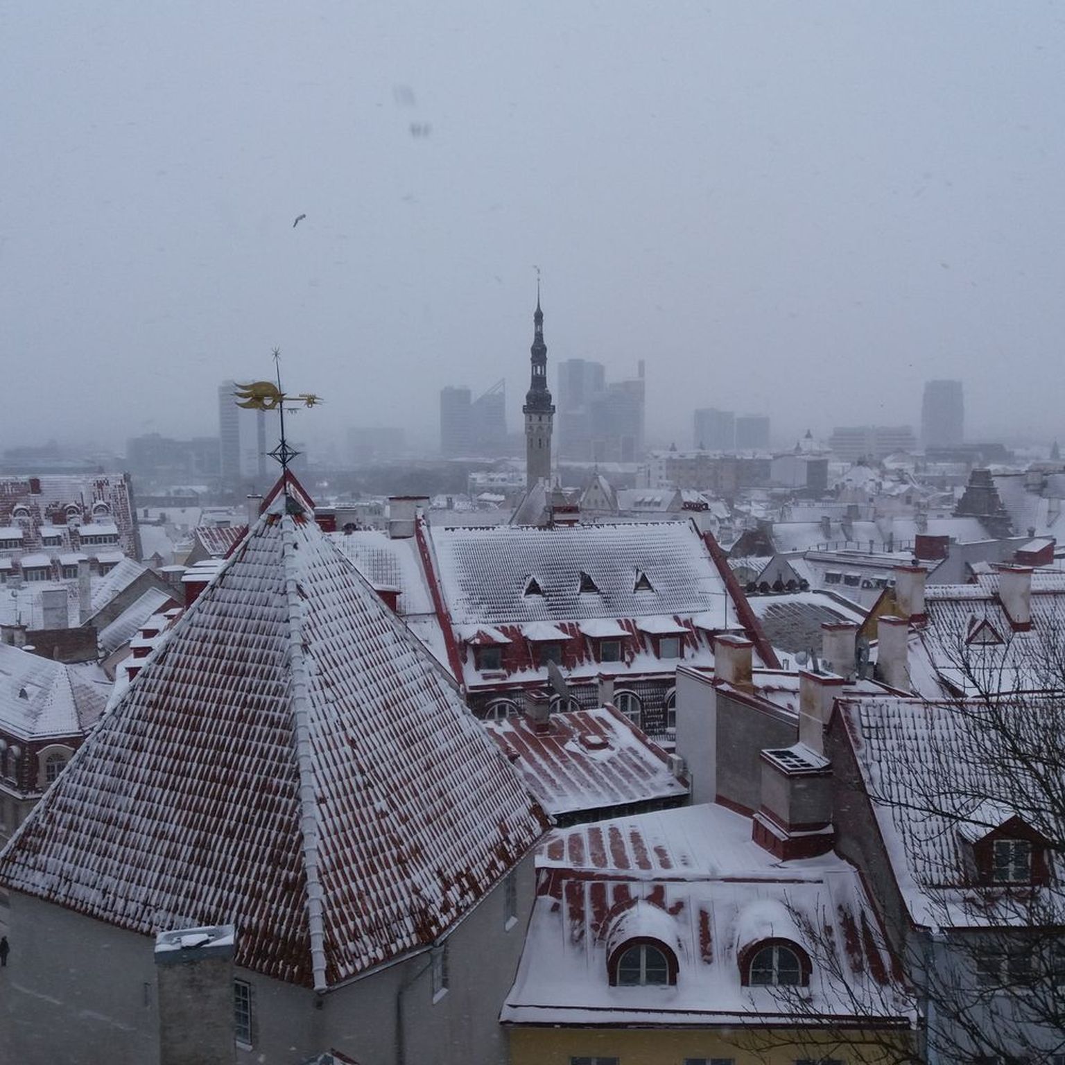 Таллинн зимой.