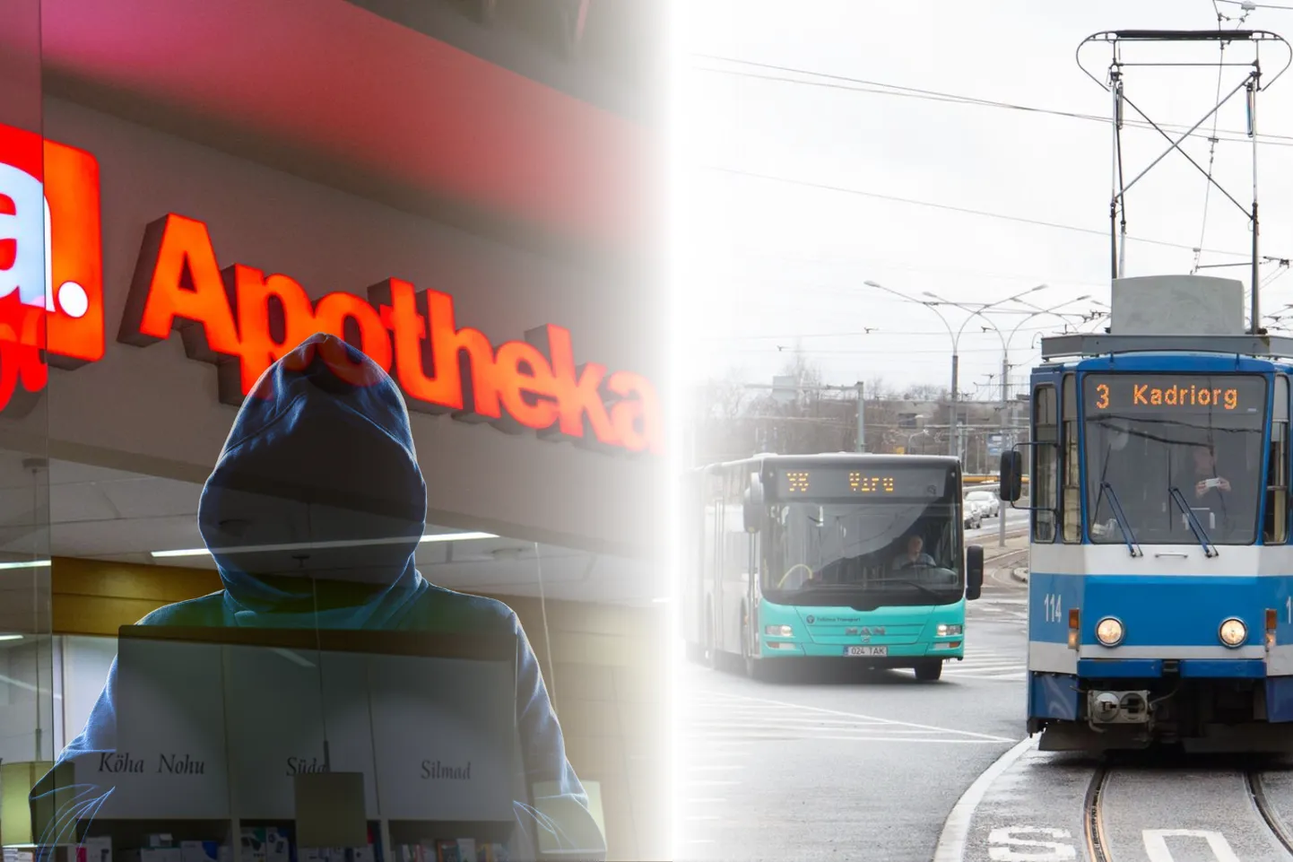 Неделя в фокусе. Бесплатный общественный транспорт в Таллинне и утечка данных из Apotheka.
