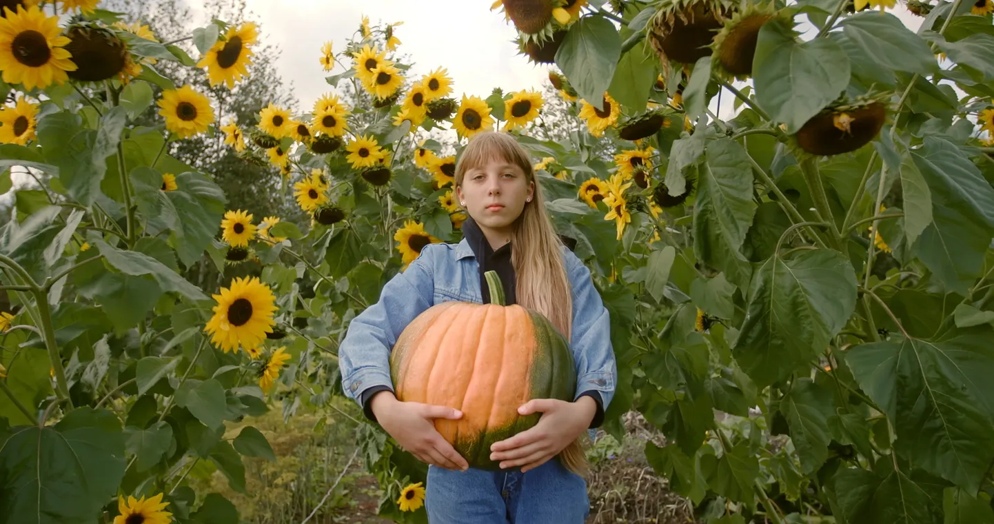 Anna Hintsi dokumentaalfilm «Homme saabub paradiis»
