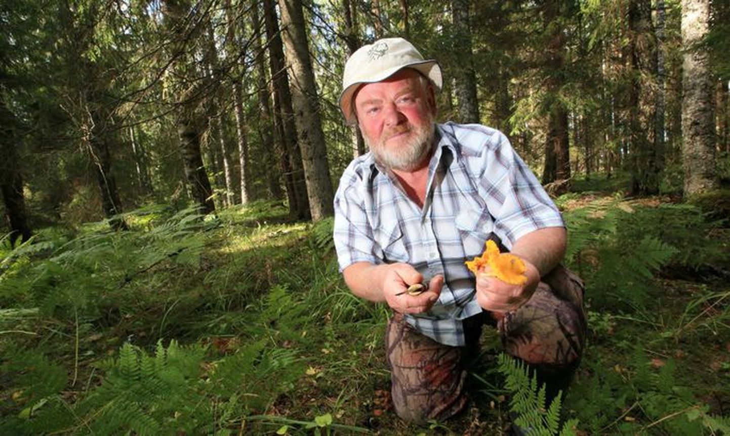 Натуралист и руководитель походов Вахур Сепп больше всего любит ходить за грибами в лес Сыыру. Больший урожай грибов он предсказывает на конец августа.