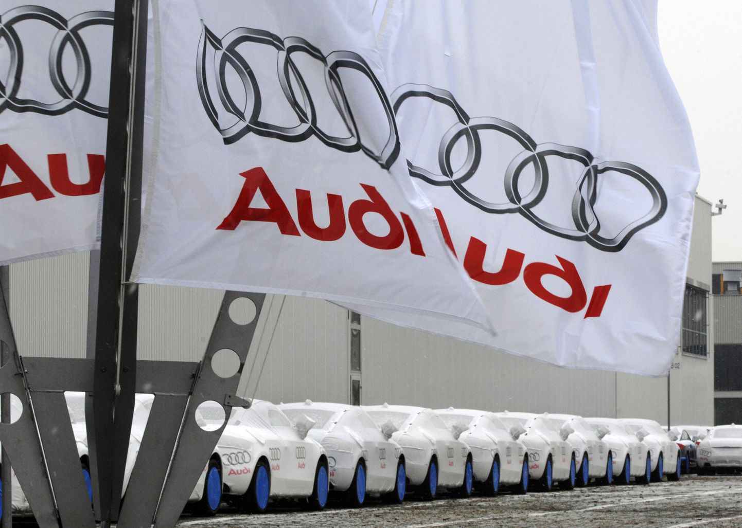 Tuttuued Audi TT sõiduautod
