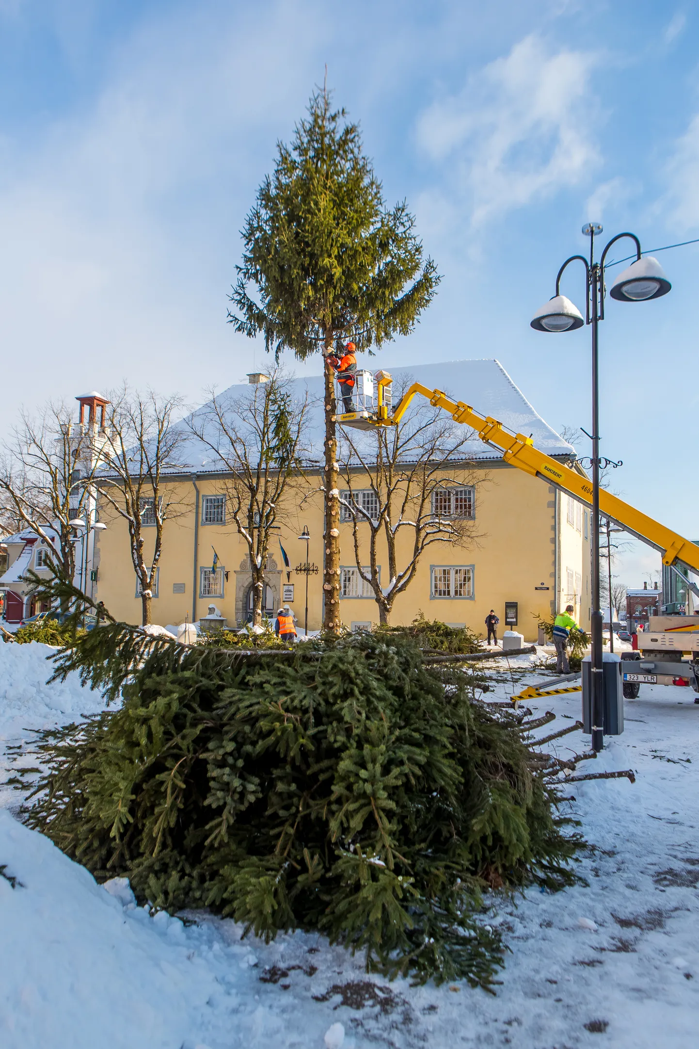 Kuressaare jõulukuusk laasiti eile puhtaks ja selle tüvest saab lumelaeva mastipuu.