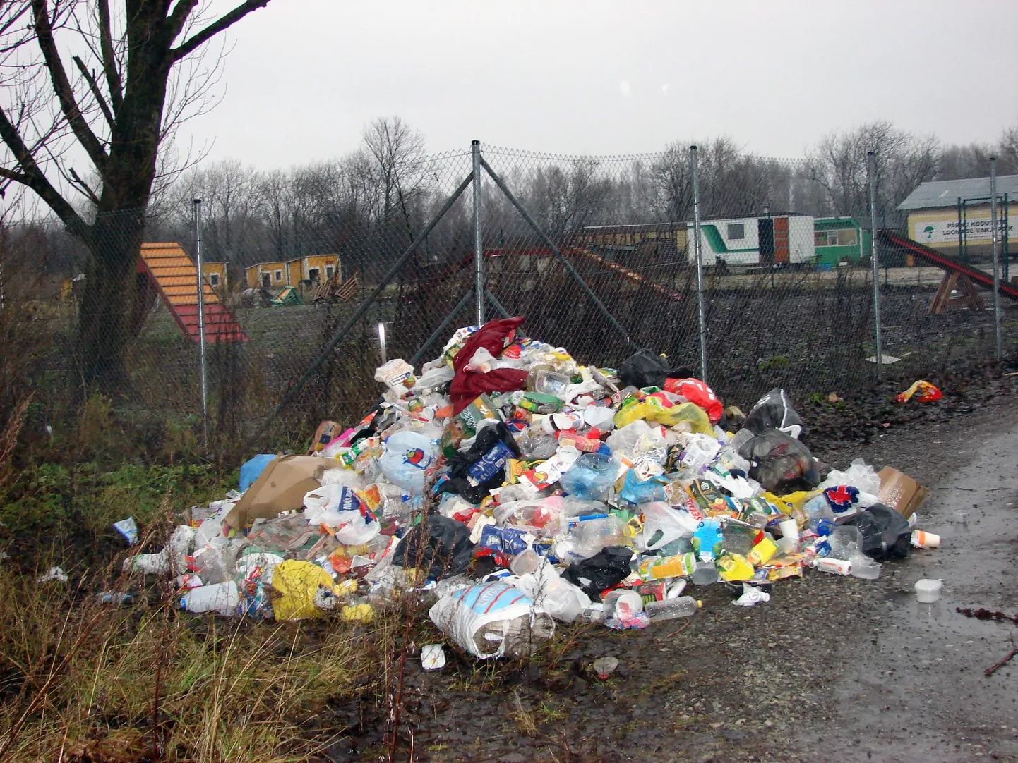 Eile hommikul avanes Pärnu loomade varjupaiga aia taga jahmatav vaatepilt.