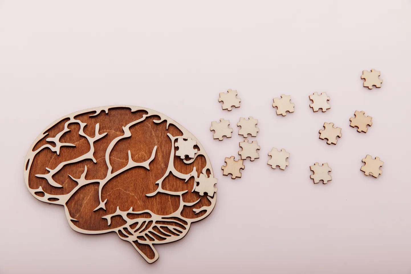 Alzheimeri tõve puhul unustab inimene järk-järgult kõik, mida ta oma lähedase kohta teab.