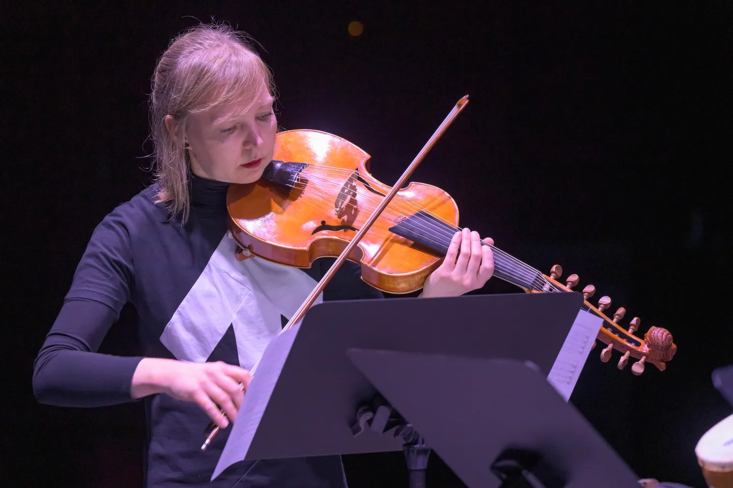 Talvi Nurgamaa on Eestis ainus, kes süvendatult on viola d'amore ning sellele kirjutatud repertuaariga tegelnud.