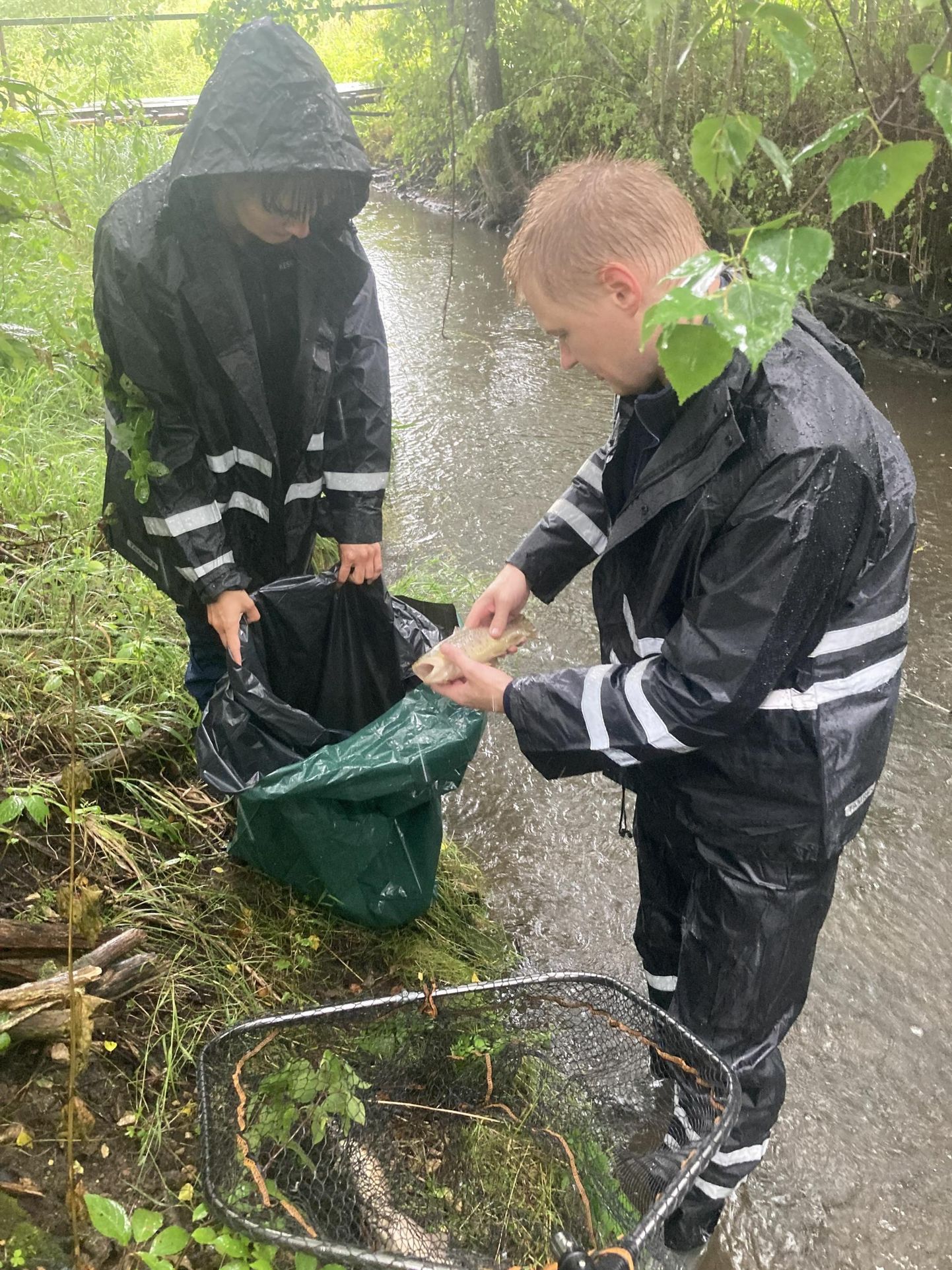Keskkonnaameti inspektorid Silver Vahi ja Anette Kuusik käisid emsaspäeval Umbusi jõest surnud kalu välja korjamas.