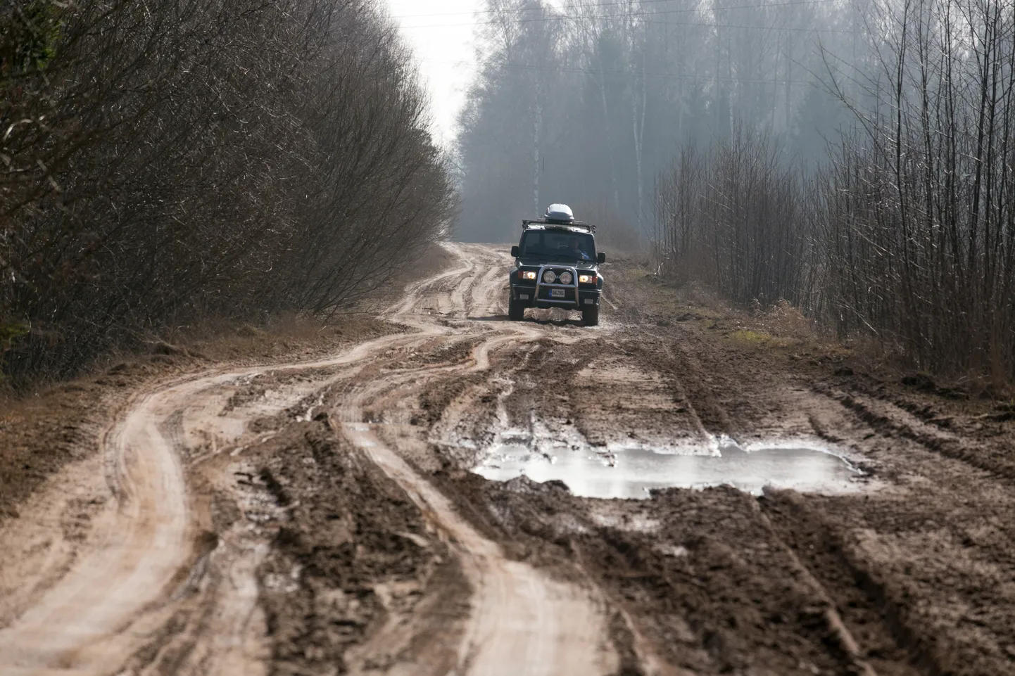 Märjad ja pehmed on nii metsaalused kui metsa väljaveoks kasutatavad teed. Foto on illustratiivne.