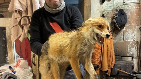 Valga vallavanem võttis kinni kanavarga
