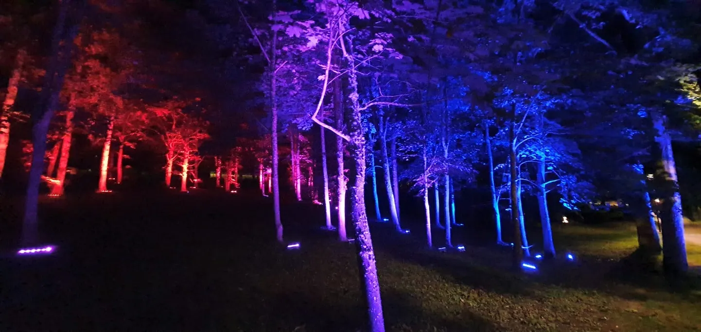 Raksta foto