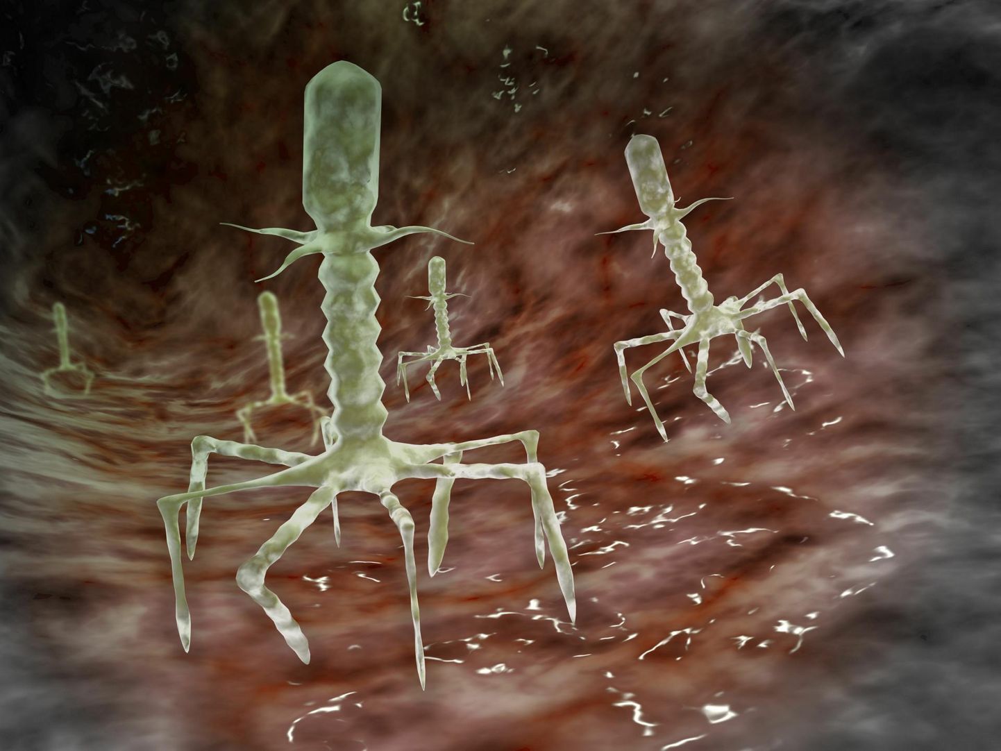 Mikroskoopiline vaade bakteriofaagidele bakteri pinnal.