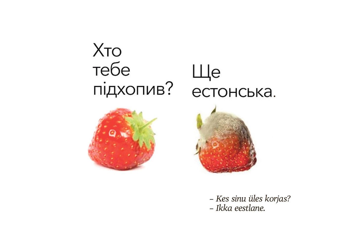 Maasikad