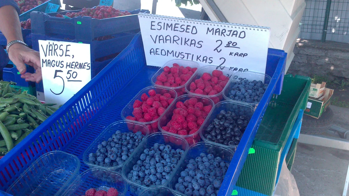 Põlvamaal asuva Kasepuu talu esimesed marjad keskturul.