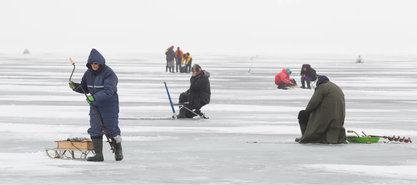 Рыбаки на льду Чудского озера.