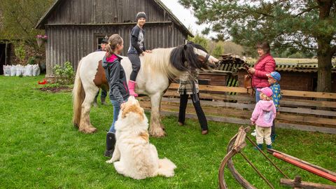 Nädalavahetusel ootavad külla üle 300 talu üle Eesti
