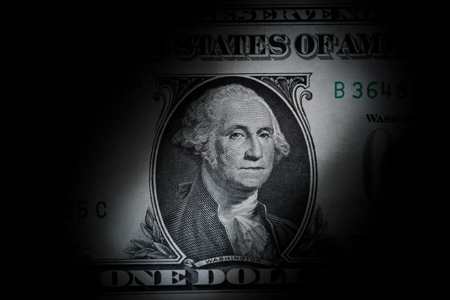 USA ühedollarilisel rahal on kujutatud president George Washington.