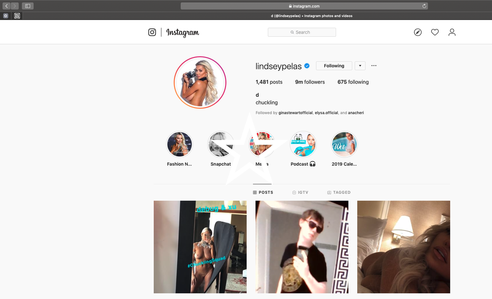 Kuvatõmmis Lindsey Pelase Instagrami kontost, mille häkker üle võttis. Ta jõudis sinna postitada kaks alastipilti Lindsey'st ja ühe pildi päikeseprille kandvast meesterahvast, kes tõenäoliselt on häkker ise.