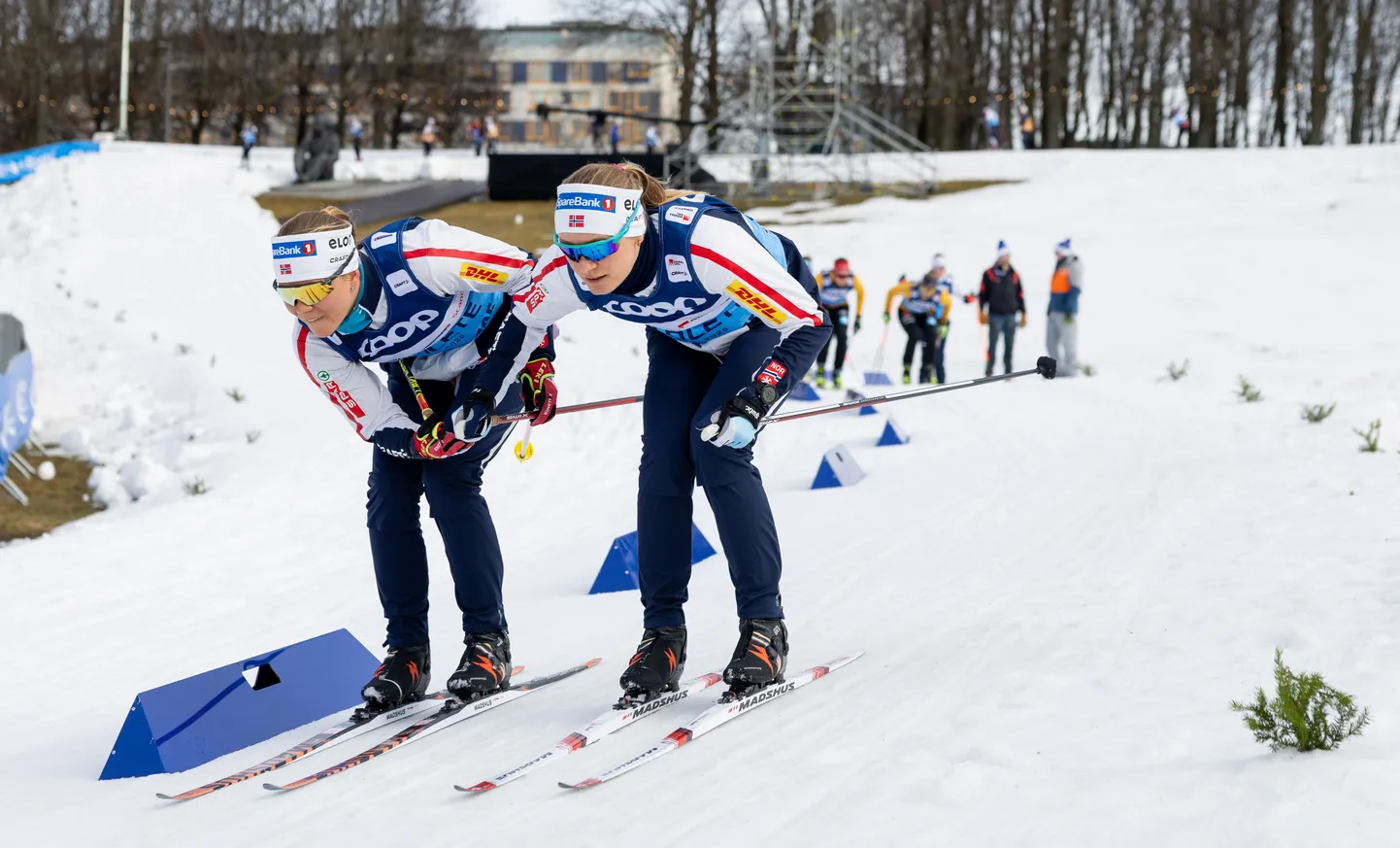 Norra murdmaasuusatajad teisipäeval lauluväljakul toimunud treeningul. Foto on illustratiivne.
